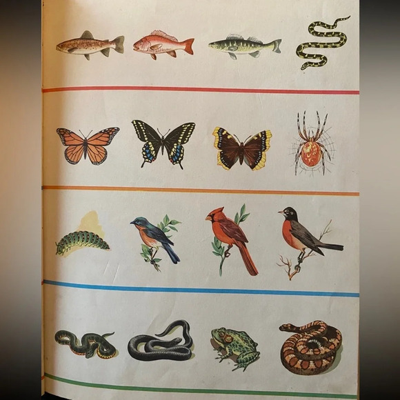 VINTAGE 1943 Look and Learn by Scott Foresman & Co Children’s Book - Picture 7 of 13